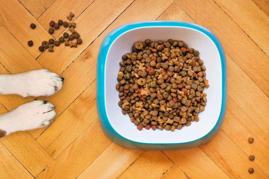 Square Pet Food Bowl